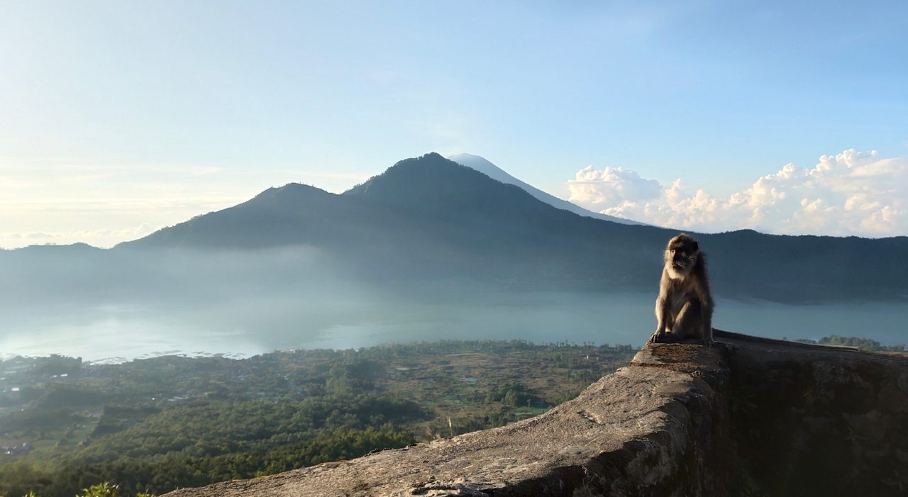 Bali