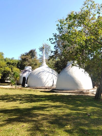 Le jardin de la back house