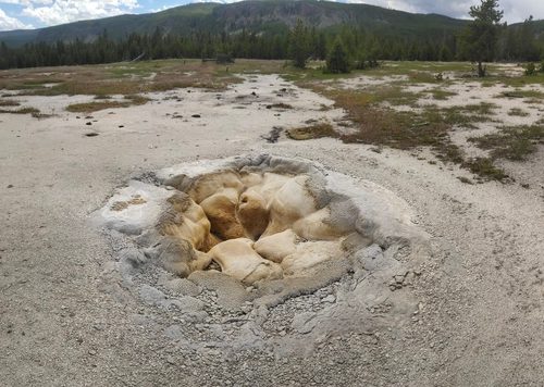Yellowstone