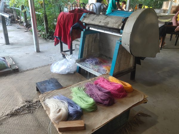 Pâtes multicolores