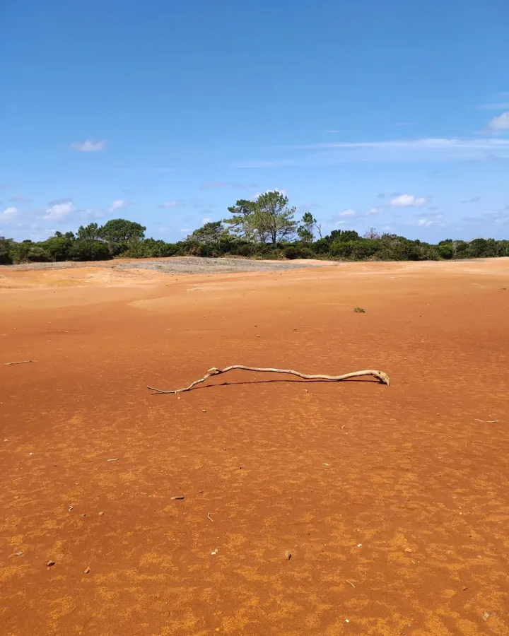 Paysage de terre rouge sur l’île de Santa Maria aux Açores