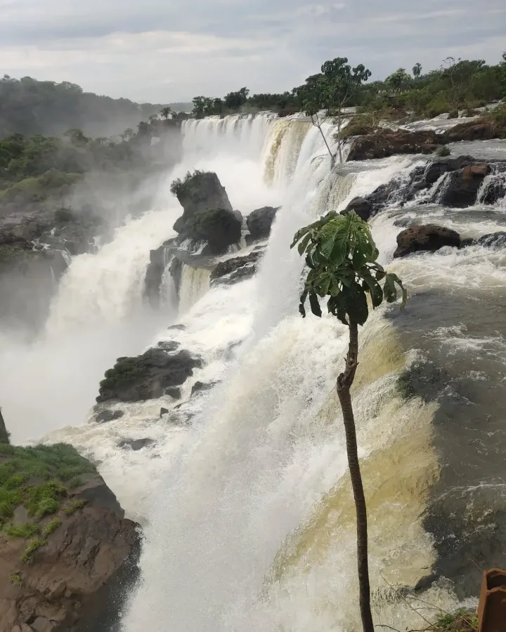 Rideaux d’eau des chutes d’Iguazú