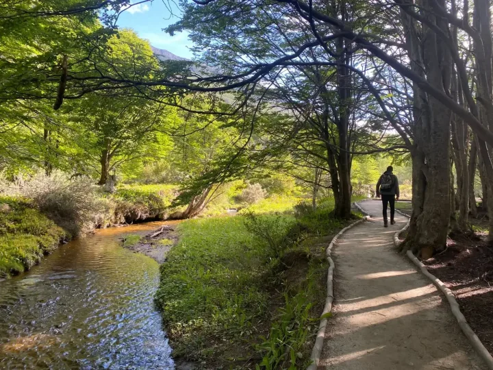 Sentier dans le parc national Tierra del Fuego