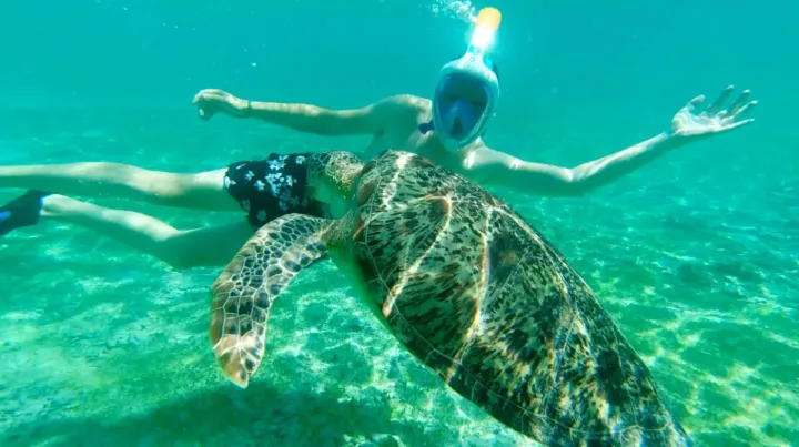 Tortue marine dans l’eau turquoise de Gili Trawangan
