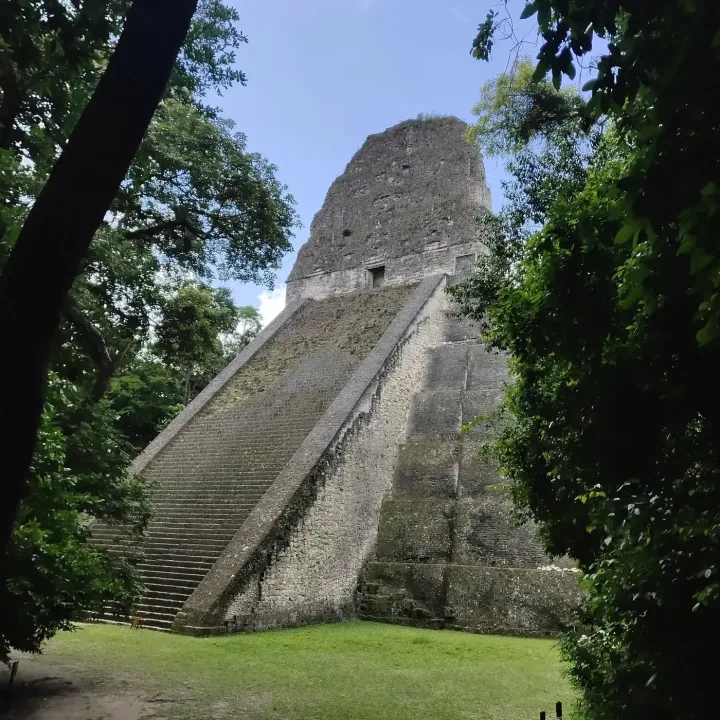 Temple maya de Tikal au Guatemala